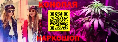 крисы Нягань