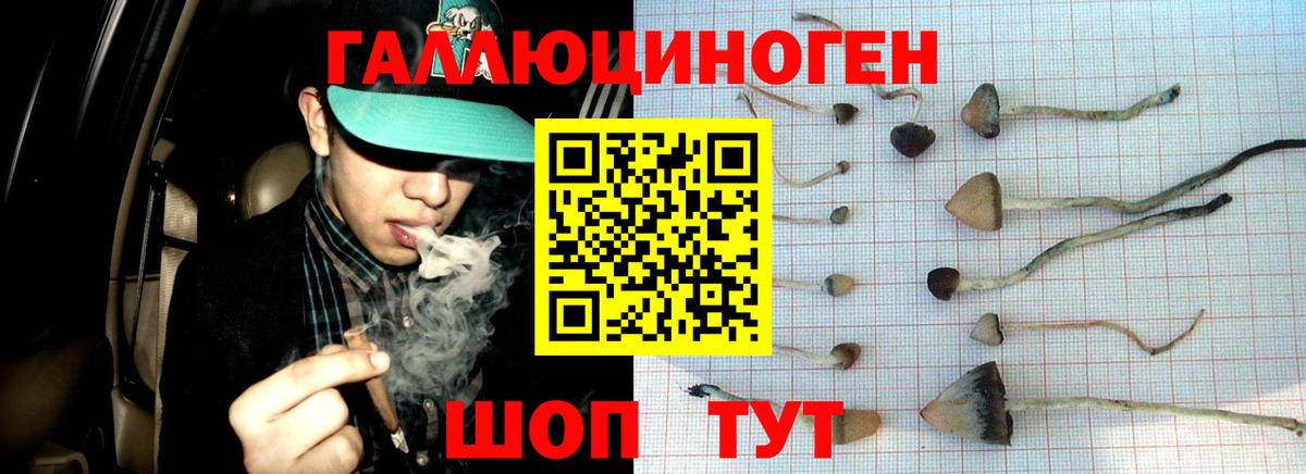 Галлюциногенные грибы GOLDEN TEACHER  Вход с VPN  Псилоцибиновые грибы Magic Shrooms  Ростов-на-Дону 